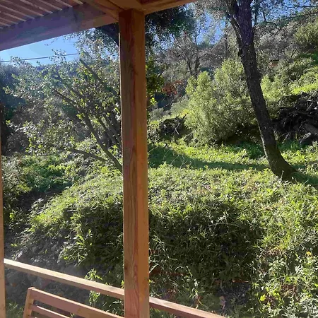 Le Nid De L'oliveraie * Menton